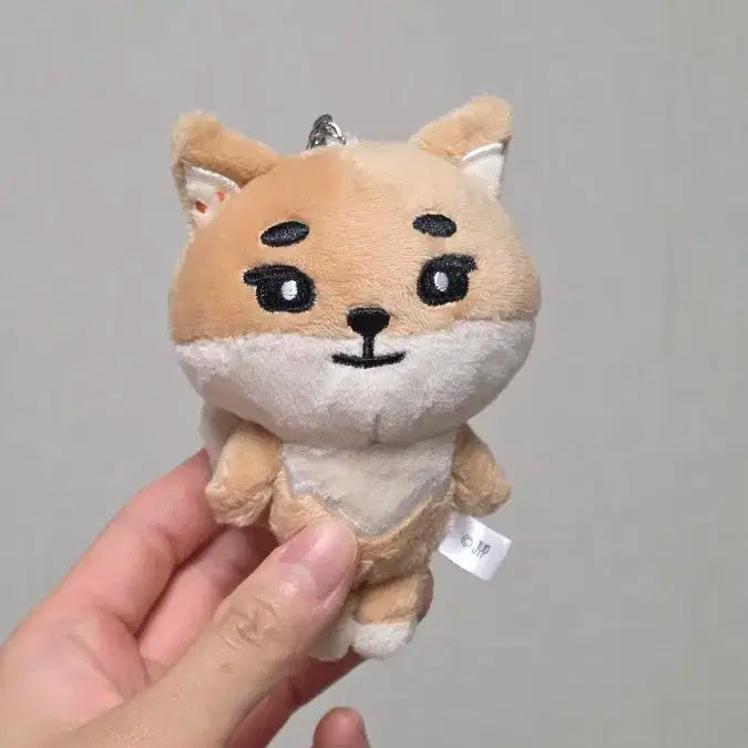 데니멀즈 일본MD 케 백참