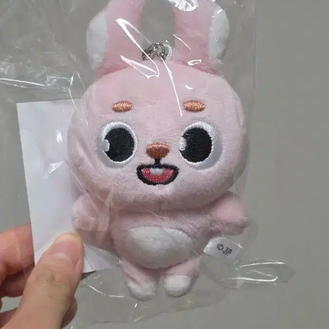 데니멀즈 일본MD 케 백참