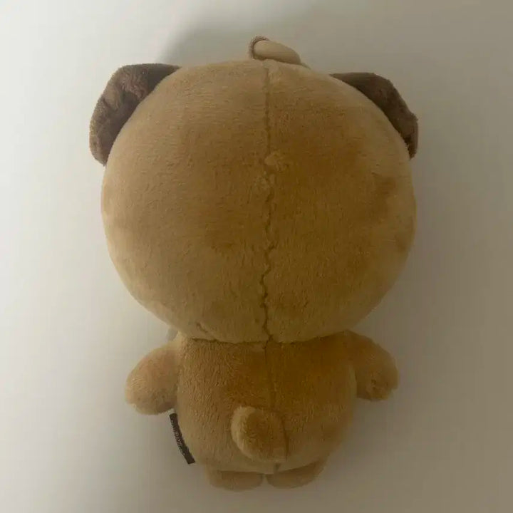 데이식스 돈이 24 ver 팔아용