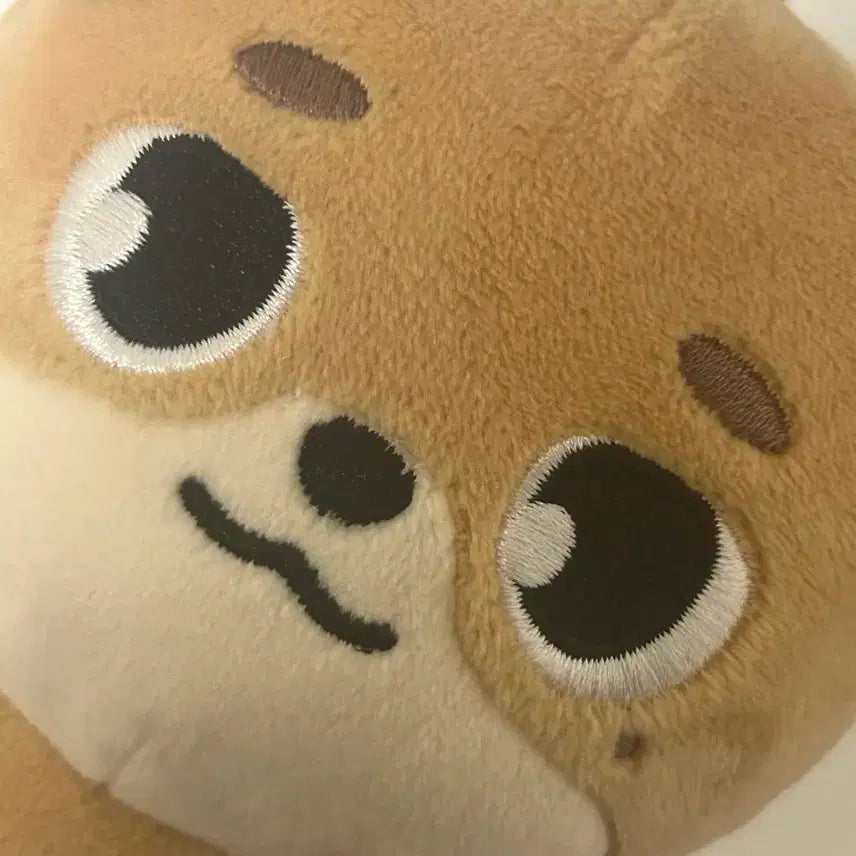 데이식스 돈이 24 ver 팔아용