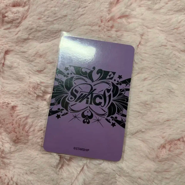 아이브 라인프렌즈 포카홀더 포토카드 이서