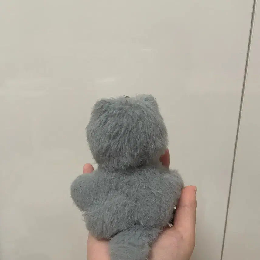 투어스 투냥이 키링