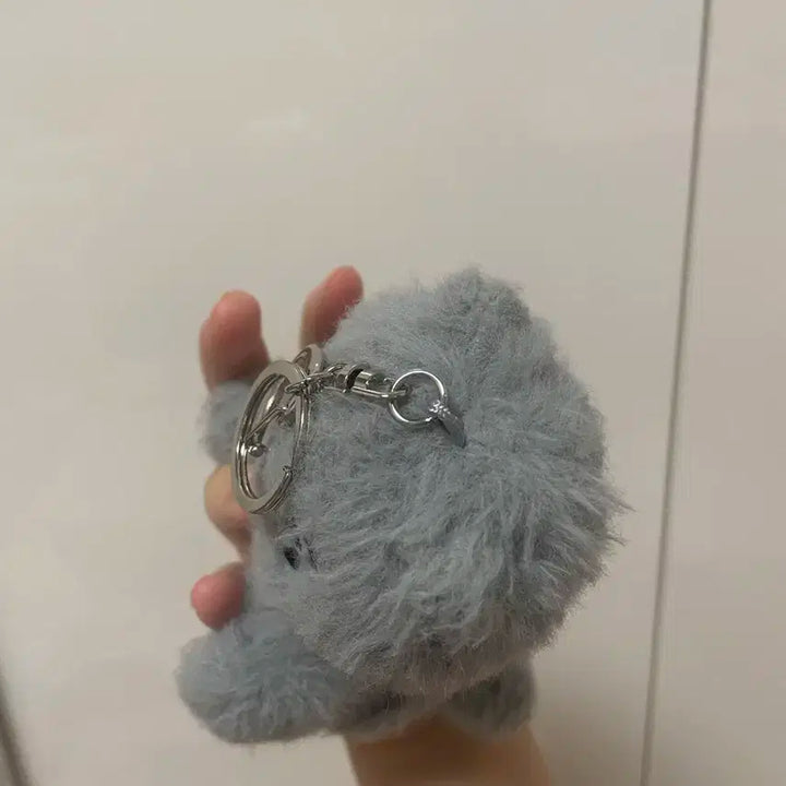 투어스 투냥이 키링