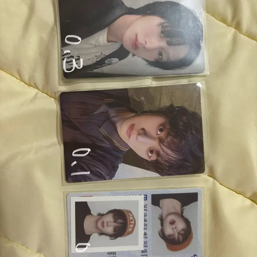 보넥도 성호 포카 팝니다!