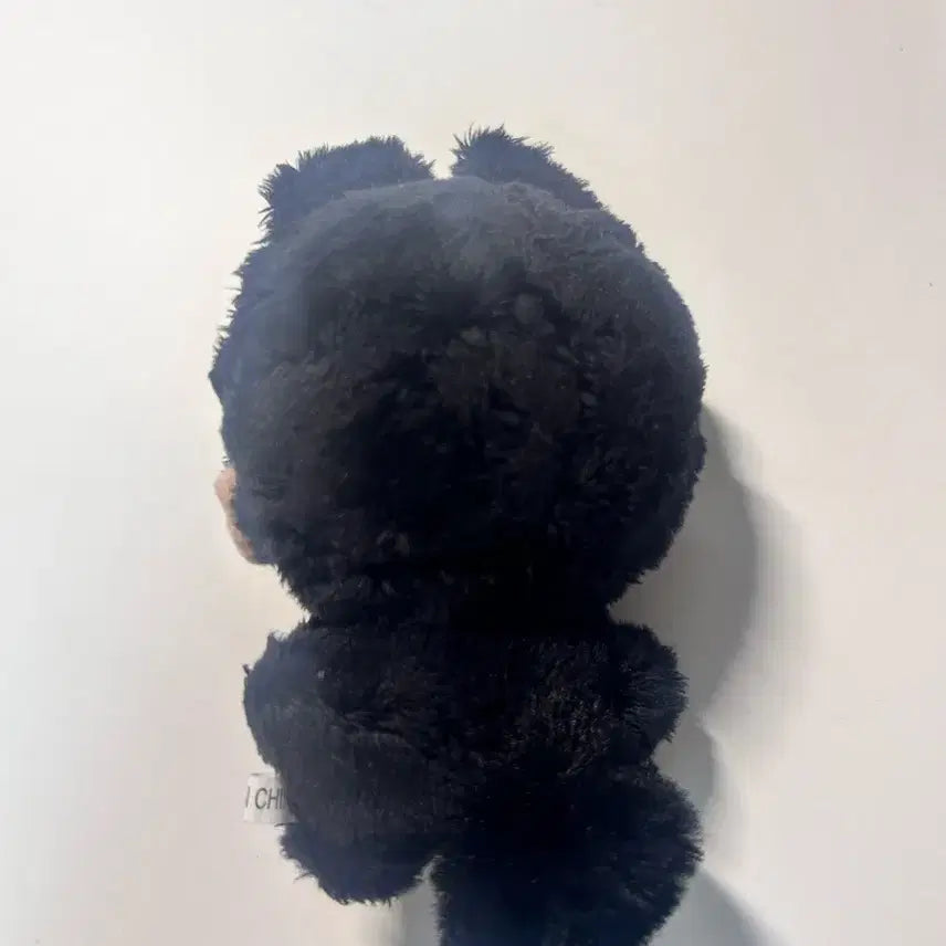 더보이즈 선우 인형 우짤선