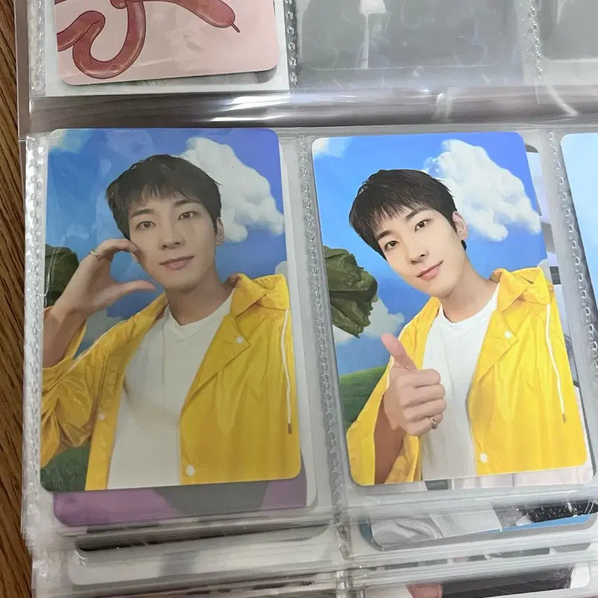 세븐틴스헤븐 캐럿반 원우 포카 일괄