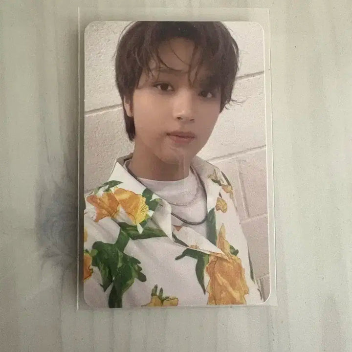 엔시티 드림 해찬 포카 일괄 양도