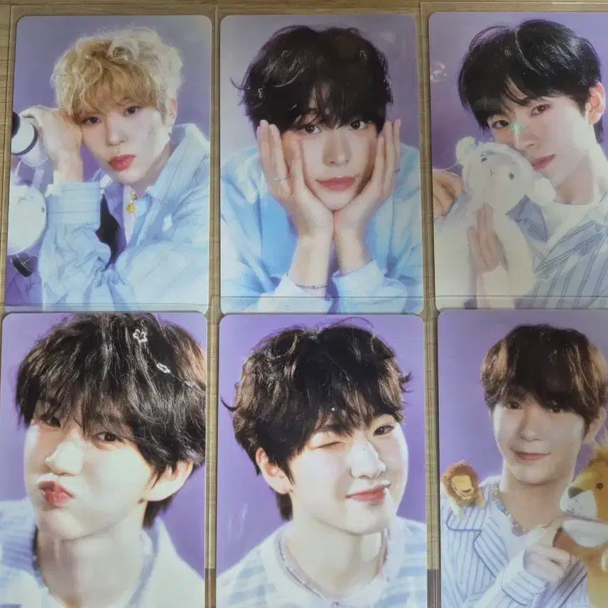 엔시티위시 시즌그리팅 포카 6종세트