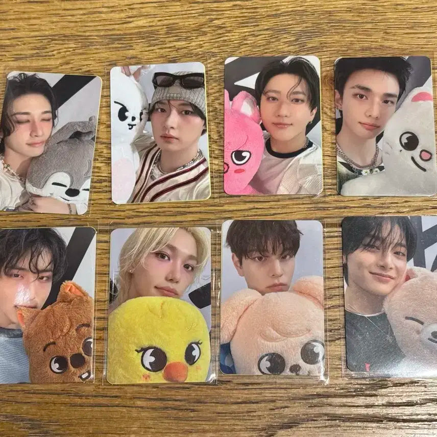 스트레이키즈 MD 구매특전 포토카드 일괄