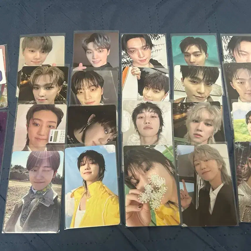 세븐틴 디노 포카일괄판매 (이찬)