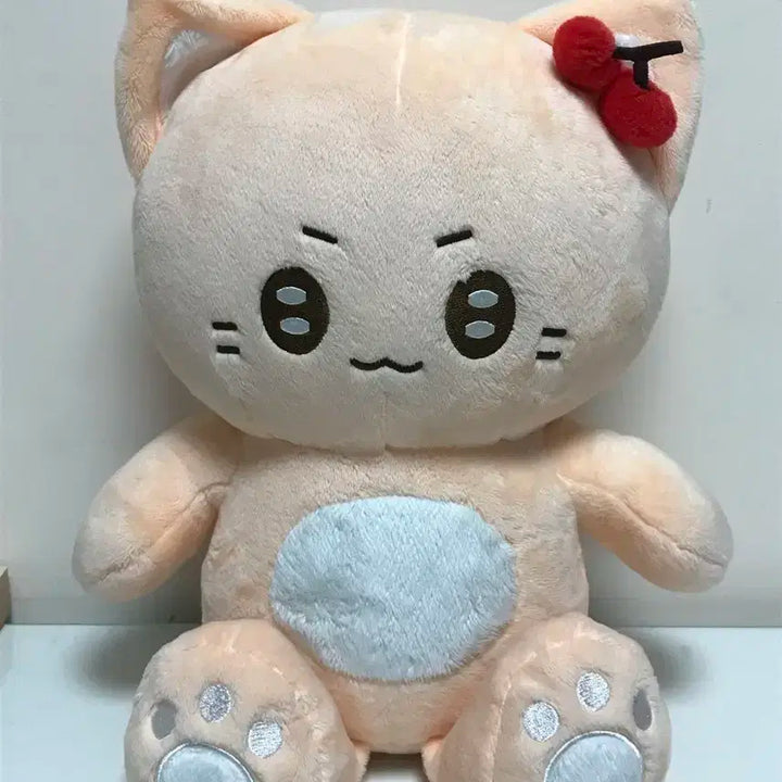 nct127 유타 40cm 유체리인형 대형사이즈