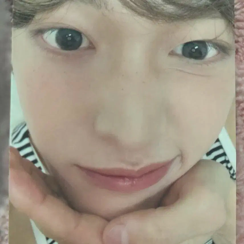 라이즈 원빈 일콘 투어 한정포카(쇼타로,은석,성찬,앤톤,소희)