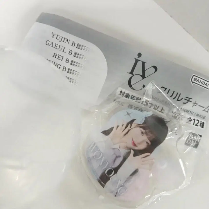 아이브 일본 키링 원영