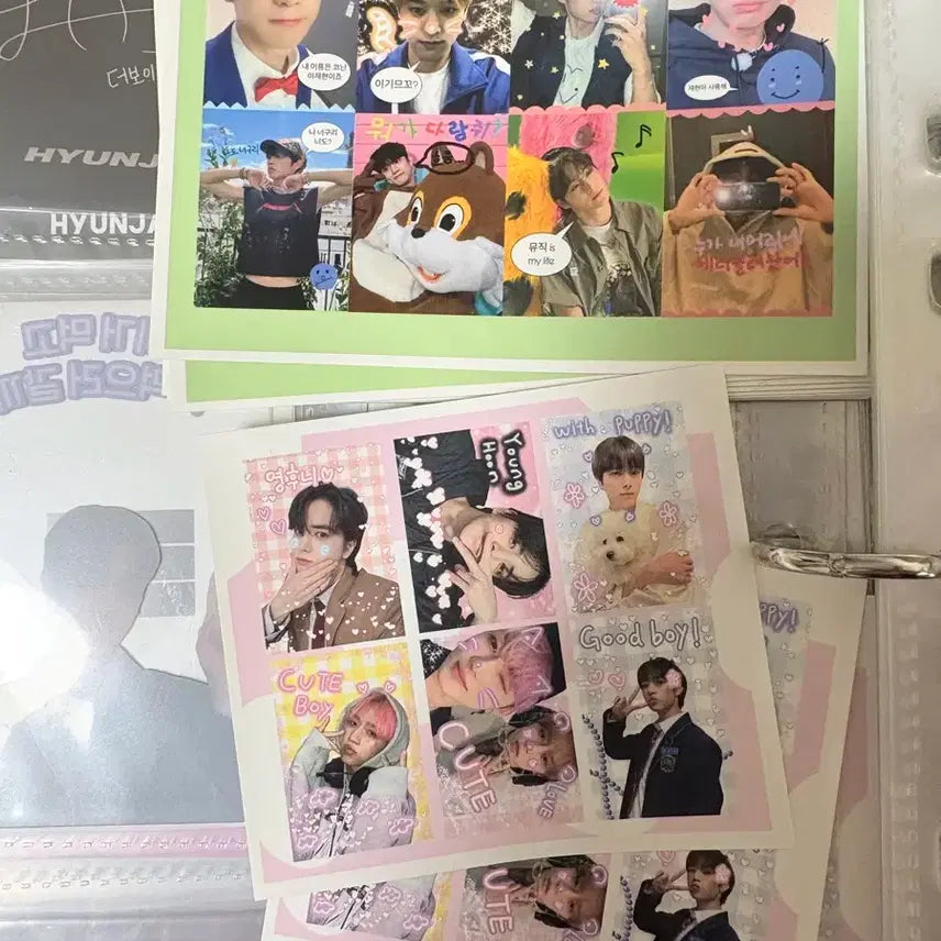 더보이즈 선우 포카 일괄+프리쿠라