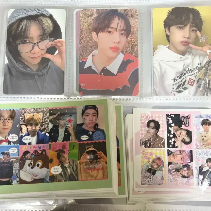 더보이즈 선우 포카+프리쿠라