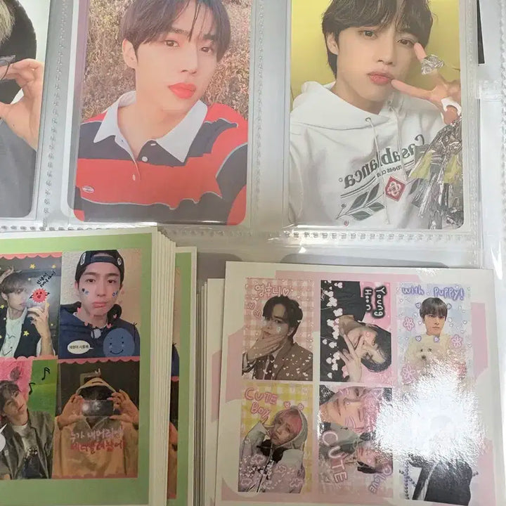 더보이즈 선우 포카+프리쿠라