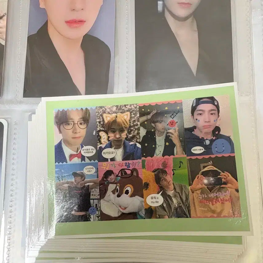 더보이즈 현재 더스틸러 포카 일괄+프리쿠라