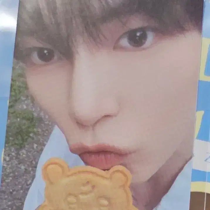 제베원 성한빈 아우어베이커리 쿠키 포카 제로베이스원