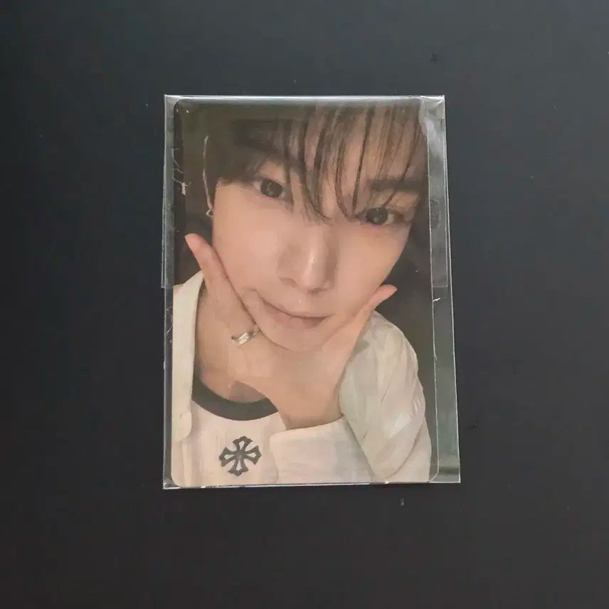 보플 아카이브 전시회 최립우 립우 1주차 아궁빵 포카 포토카드 양도