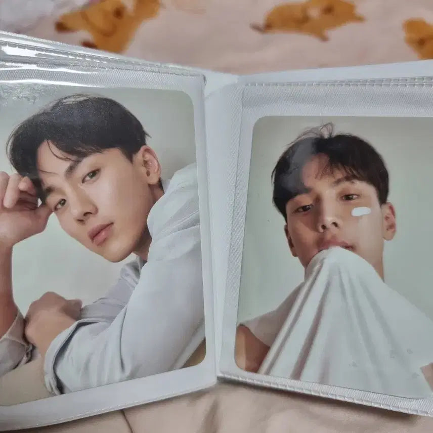 몬스타엑스 셔누 생카 비공식 굿즈 포카홀더 판매