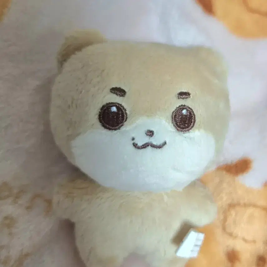 몬스타엑스 기현 햄켠이 비공굿 인형 양도합니다