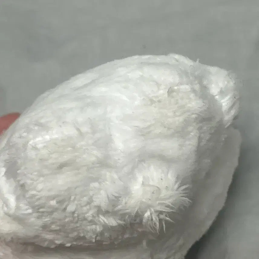 스키즈 필릭스 뽁냥이