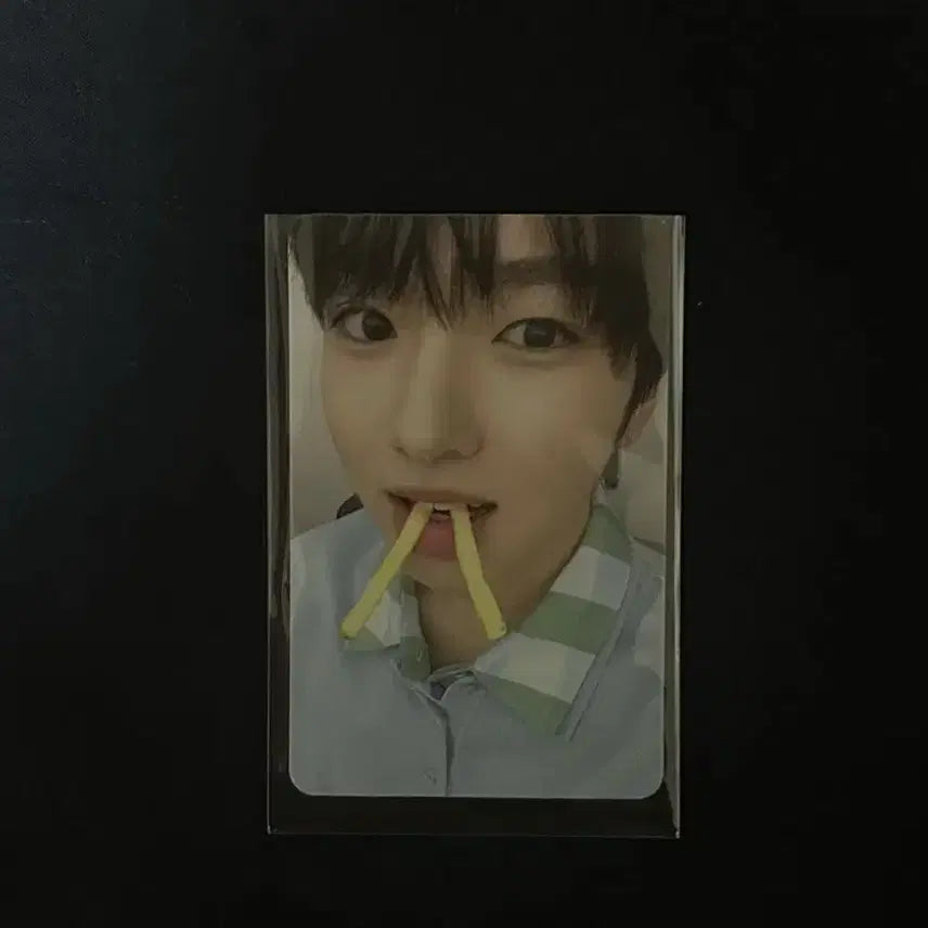 엔시티 위시 사쿠야 스테디 MD 포토카드 포카 양도