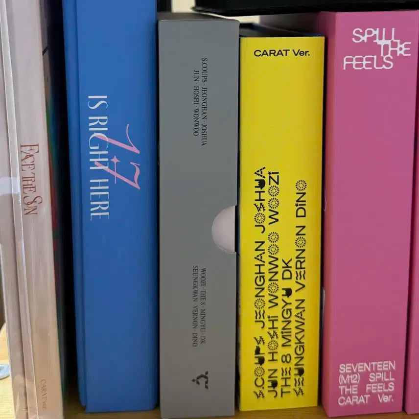 세븐틴 승관 캐럿반 5개 일괄