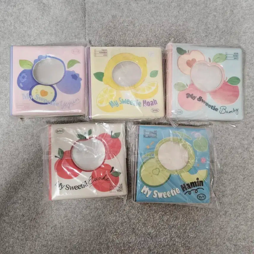 플레이브 2024 생일키트 바인더