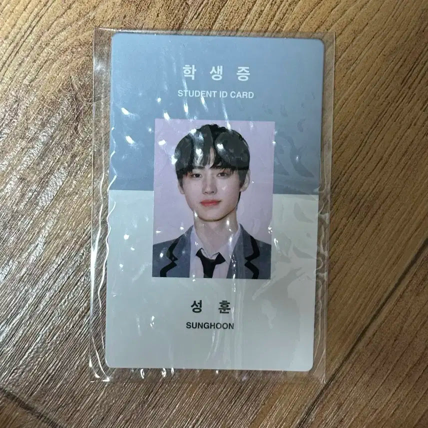 엔하이픈 성훈 학생증 포카 포토카드