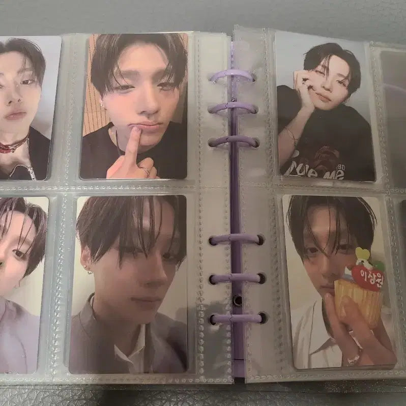 보플 보플2 이상원 포카 전시회 아카이브 팝업 알디원