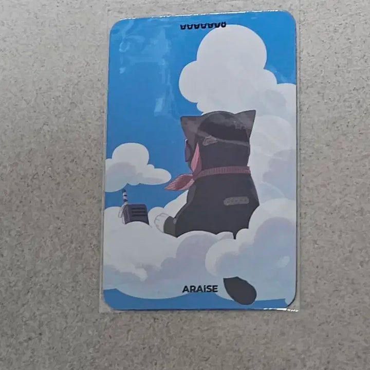 세이마이네임 볼꼬집포카