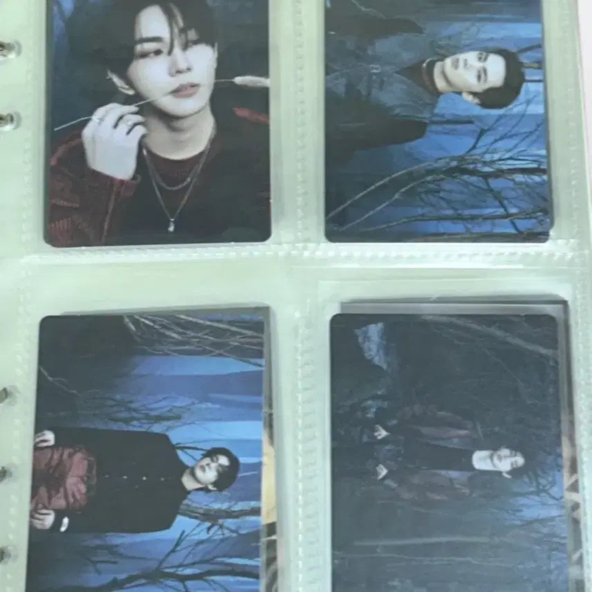 앉쪈결쟤 누르지 마세요 엔하이픈 희승 웤더라인 콘서트 특전 일괄