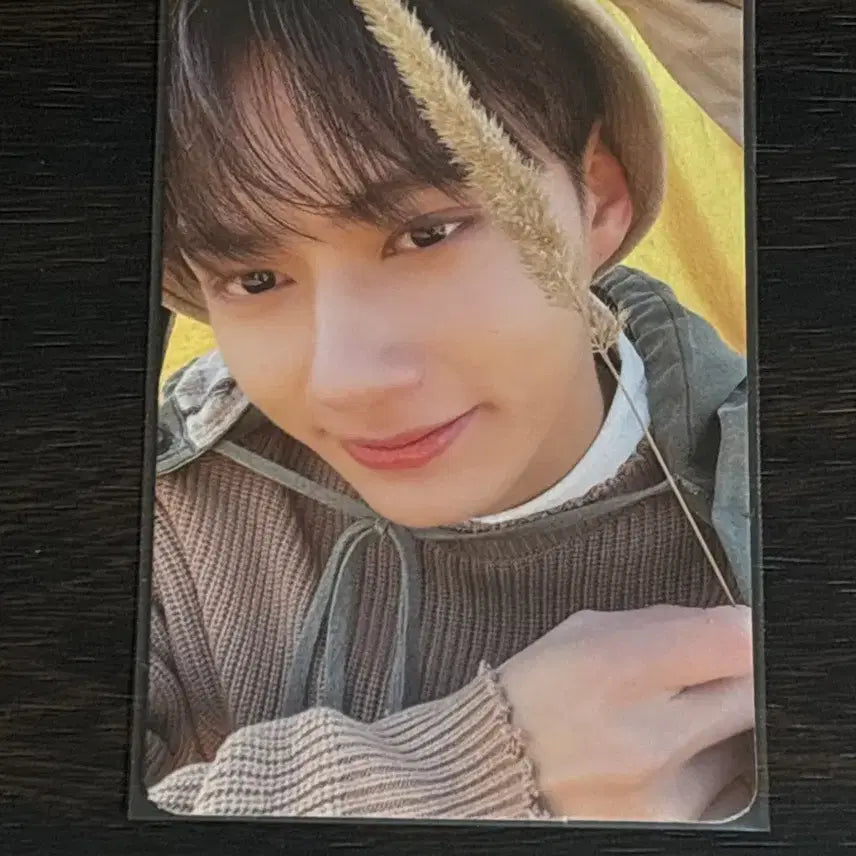 세븐틴 준 face the sun 페더썬 포토카드 포카