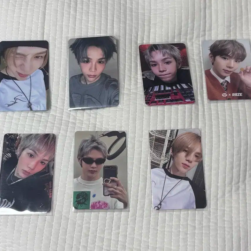 라이즈 쇼타로 포토카드 일괄