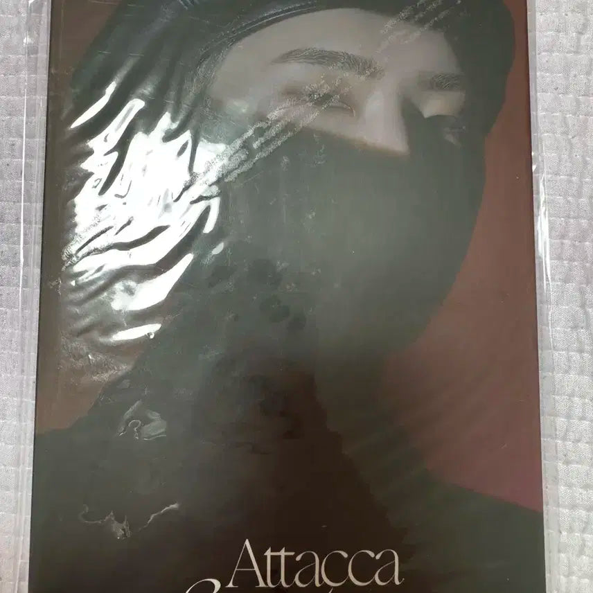 세븐틴 Attacca 캐럿반 호시