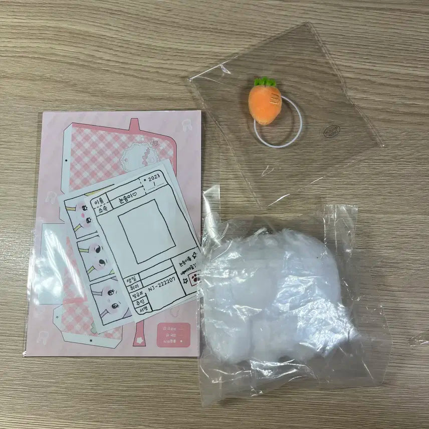 뉴진스 다니엘 뉸송이들 단토토 미개봉 인형 + 당근 가방 양도