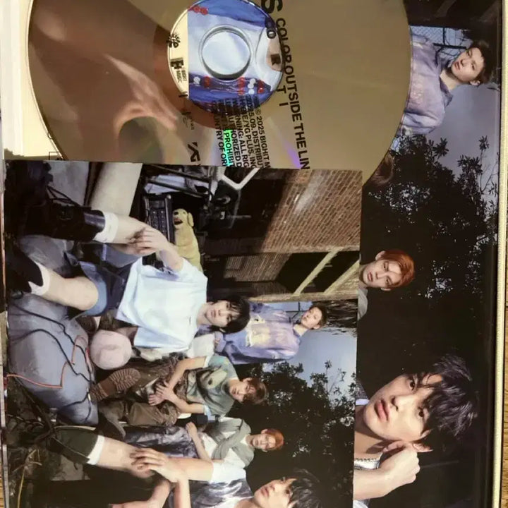 코르티스 앨범 양도(일괄) 포카x