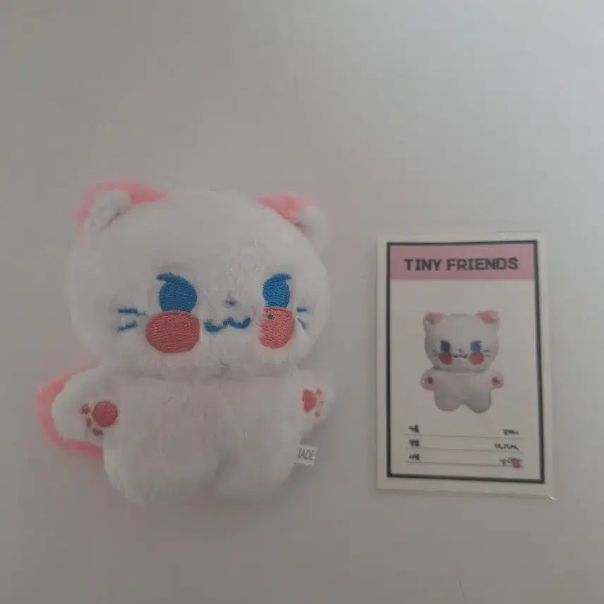 제베원 성한빈 냥비니 인형