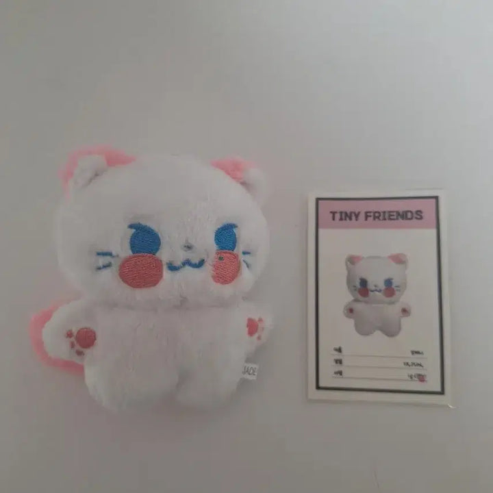 제베원 성한빈 냥비니 인형