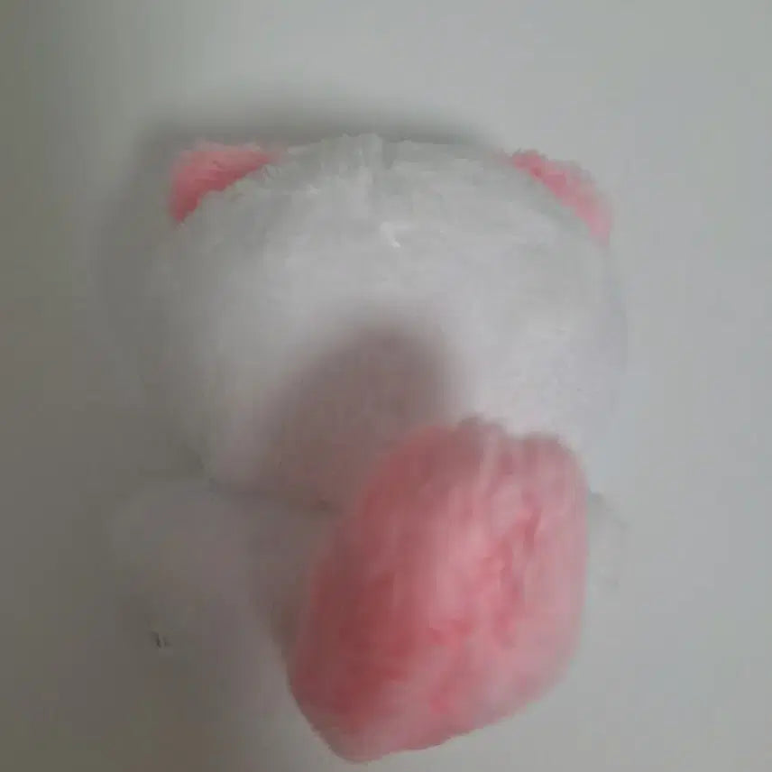 제베원 성한빈 냥비니 인형