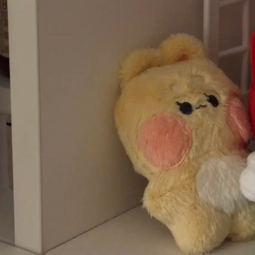 콩수니 2.5로 판매