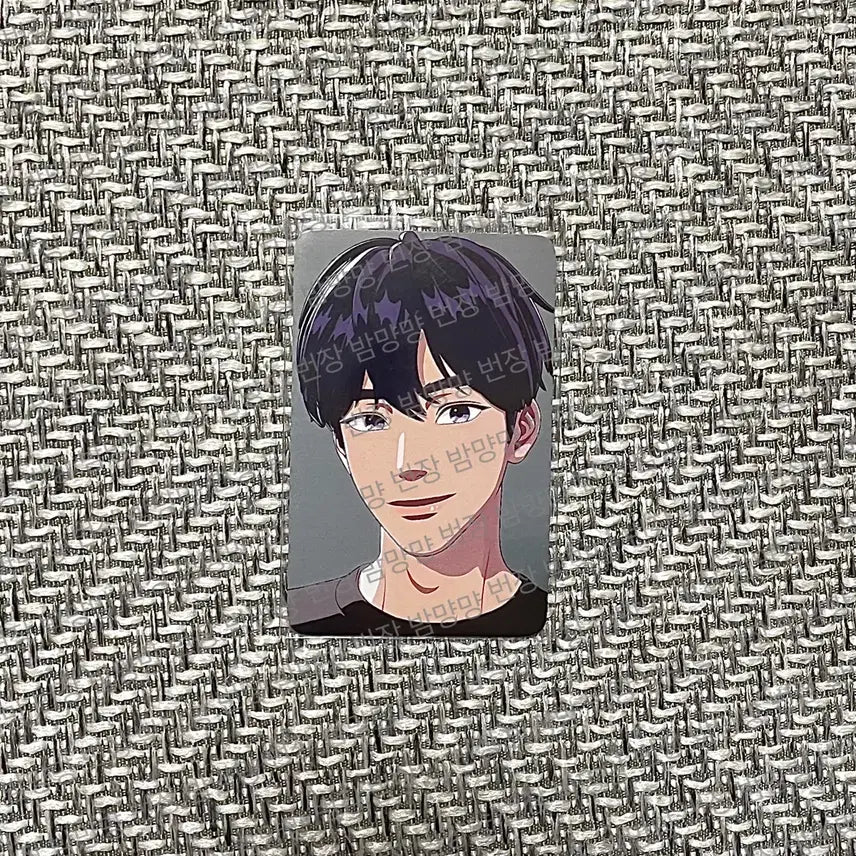 플레이브 예준 여섯번째여름 케타포 1차 미공포 판매