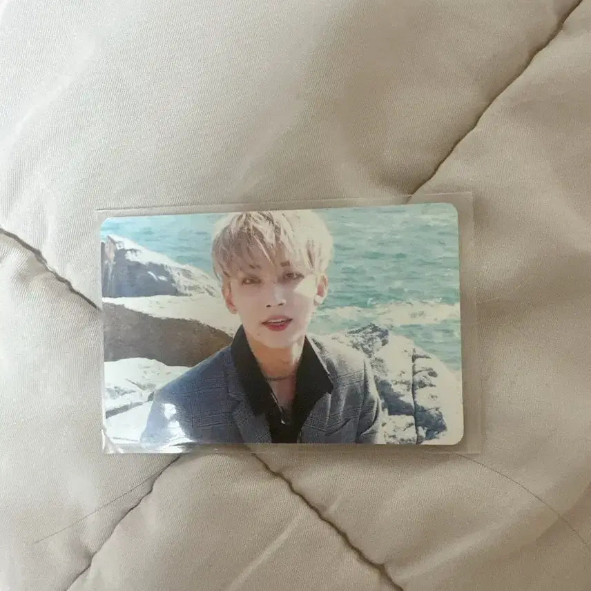 세븐틴 박수 정한 박오윤