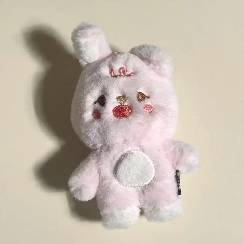 데이식스 쁘띠멀즈 원필