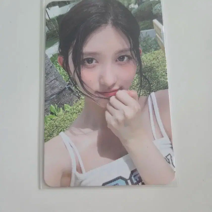 아이브 드리미데이 스스퀘 가을