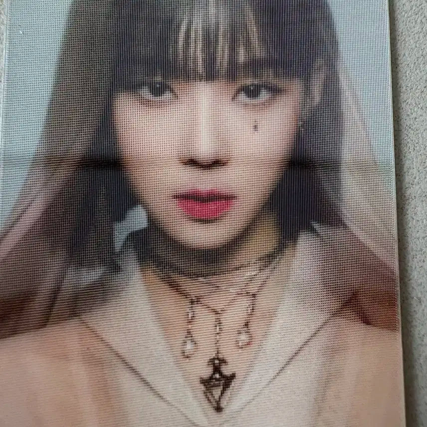 윈터 포카