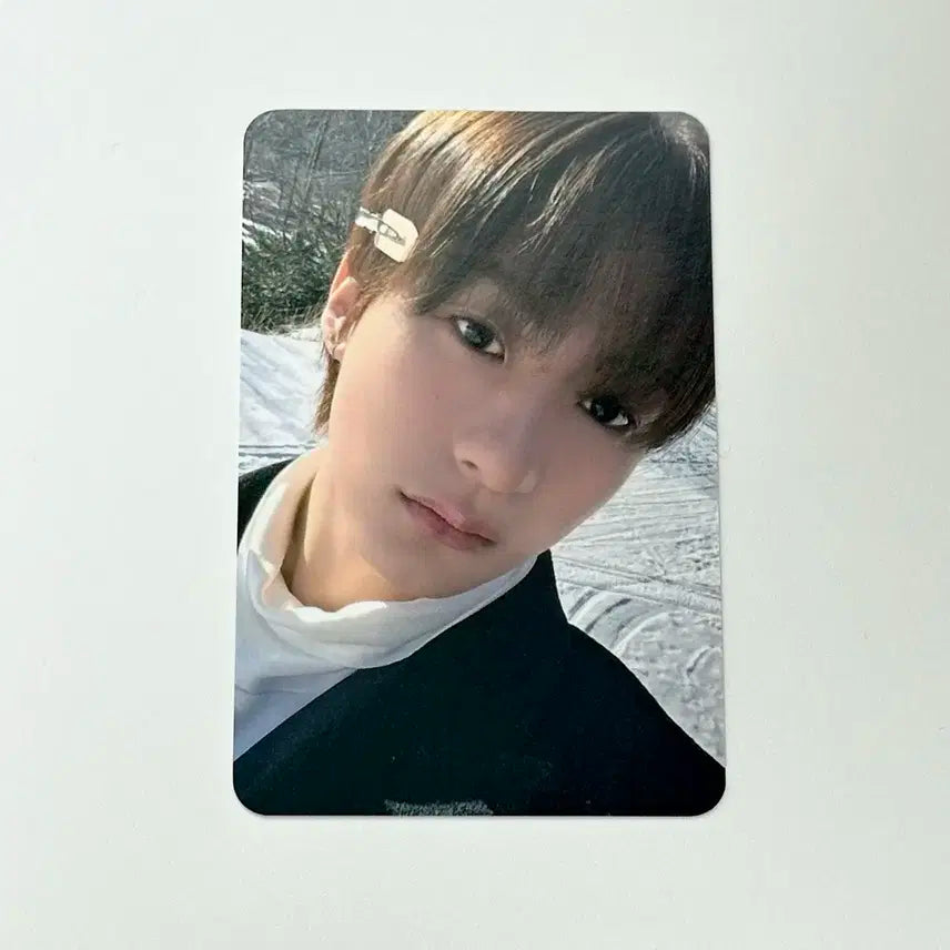 라이즈 앤톤 뮤직플랜트 럭드 양도 미공포119겟어기타트레카