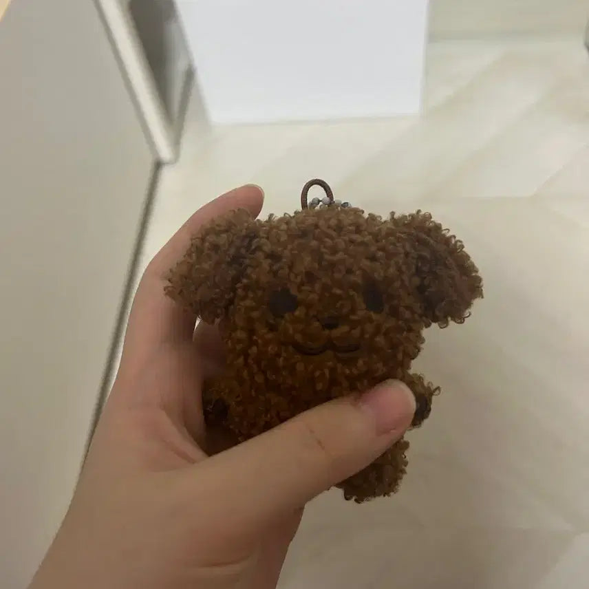베베쭈니 굿즈
