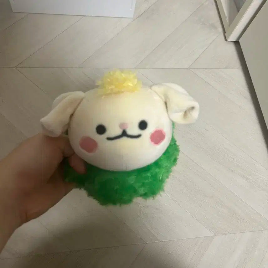 크래비티 터리